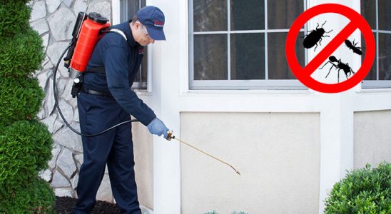 Ürgüp Hamam Böceği İlaçlama böcek ilaçlama ve haşere kontrolü — ilaclama-tr.com
